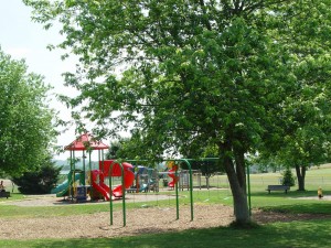 Park Picture