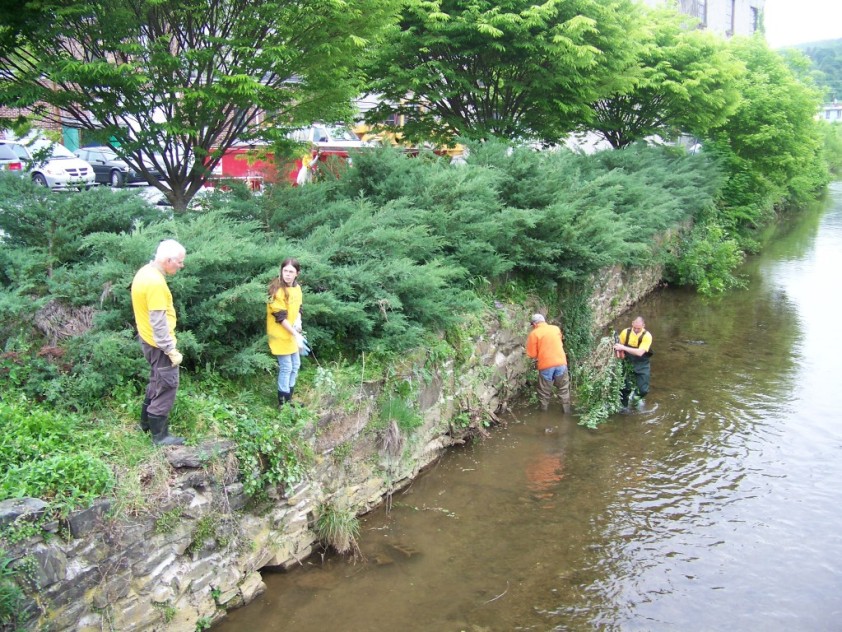 Spring Cleanup